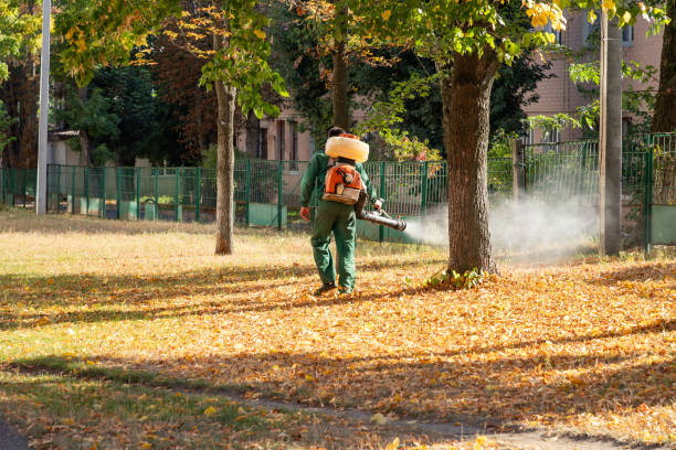 Best Mosquito Control Services  in Collings Lakes, NJ