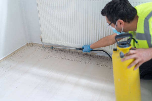 Pest Control for Restaurants in Collings Lakes, NJ