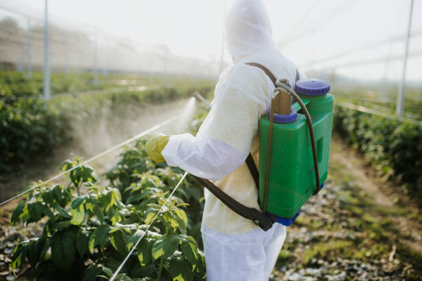 Best Affordable Pest Control Services  in Collings Lakes, NJ
